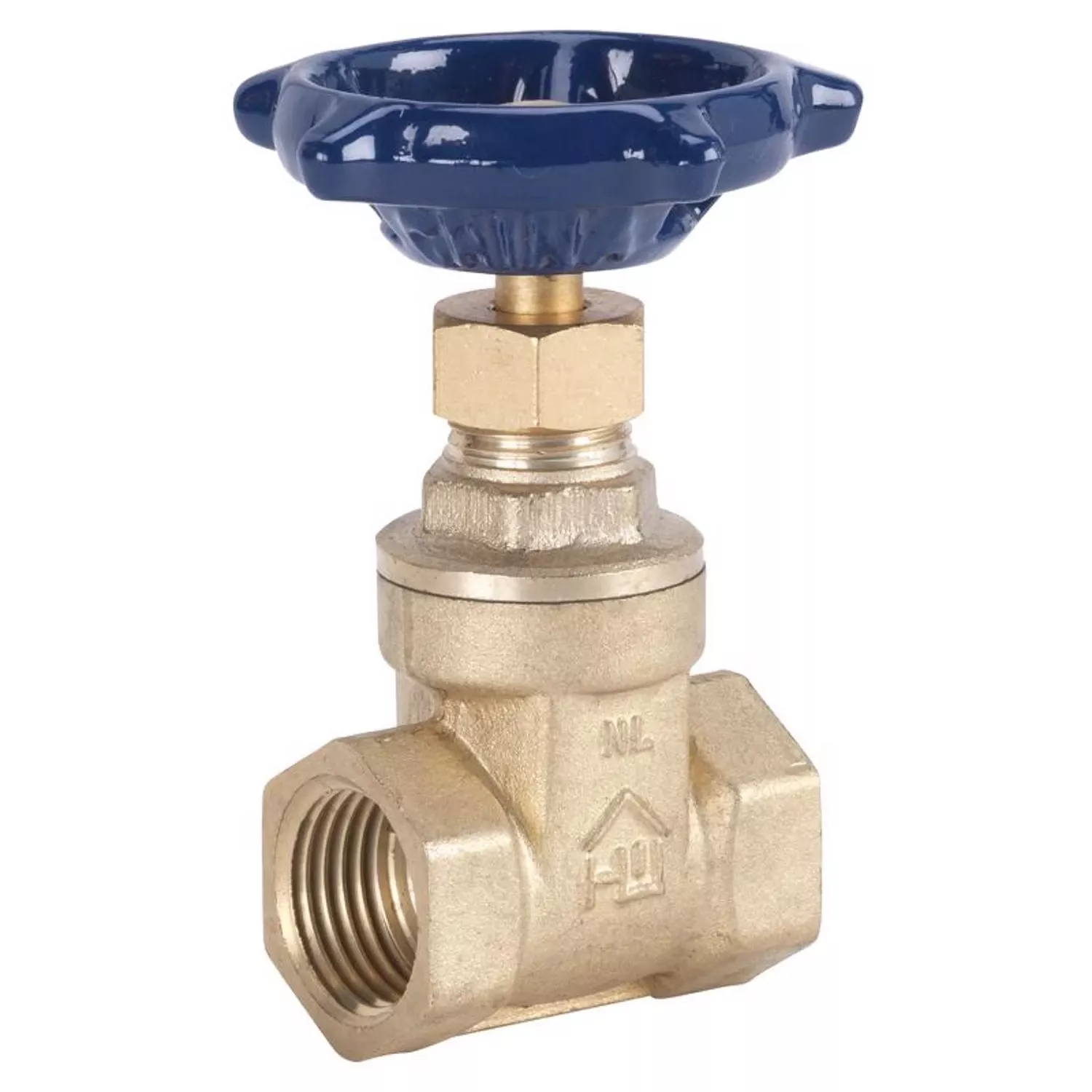 1 In. Fip Brass Gate Valve - Model 170-2-1